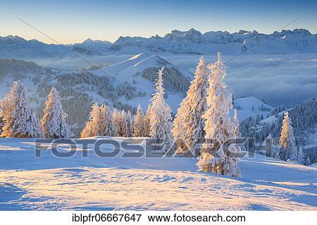 Stock Photo - View of the Glarus Alps and Uri Alps with Bristen, Uri Rotstock and Wissigstock, Switzerland, Europe. Fotosearch