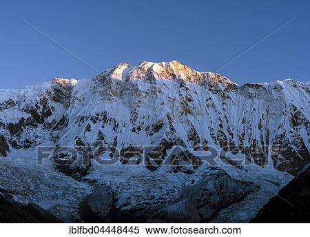 View of the snow covered Annapurna 1 North Face at sunrise, Chomrong, Kaski District, Nepal, Asia View Large Photo Image Stock Photography - View of the snow covered Annapurna 1 North Face at sunrise, Chomrong, Kaski District, Nepal, Asia. Fotosearch