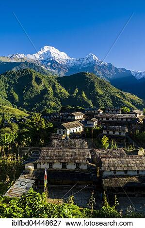 Stock Photo - View on the historical village with the mountains Annapurna South, left, and Himchuli, right, Ghandruk, Kaski District, Nepal, Asia. Fotosearch