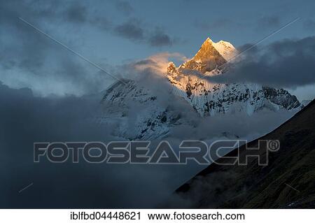 View on the summit of the mountain Machapuchare at sunset, partly covered by monsoon clouds, Chomrong, Kaski District, Nepal, Asia View Large Photo Image Stock Image - View on the summit of the mountain Machapuchare at sunset, partly covered by monsoon clouds, Chomrong, Kaski District, Nepal, Asia. Fotosearch