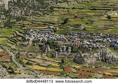 Stock Image - Village Manang with the agricultural terrace fields, Upper Marsyangdi valley, Manang District, Nepal, Asia. Fotosearch