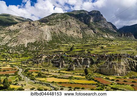 Village Manang with the agricultural terrace fields, Upper Marsyangdi valley, Manang District, Nepal, Asia View Large Photo Image Stock Image - Village Manang with the agricultural terrace fields, Upper Marsyangdi valley, Manang District, Nepal, Asia. Fotosearch