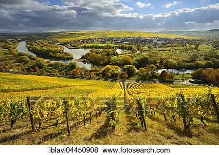 Vineyards in autumn, view of River Main, wiwing town of Nordheim and Kreuzberg, dark clouds, Lower Franconia, Franconia, Bavaria, Germany, Europe View Large Photo Image Stock Photo - Vineyards in autumn, view of River Main, wiwing town of Nordheim and Kreuzberg, dark clouds, Lower Franconia, Franconia, Bavaria, Germany, Europe. Fotosearch