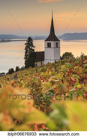 Vineyards near Ligerz on Lake Biel, Bern, Switzerland, Europe View Large Photo Image Stock Image - Vineyards near Ligerz on Lake Biel, Bern, Switzerland, Europe. Fotosearch