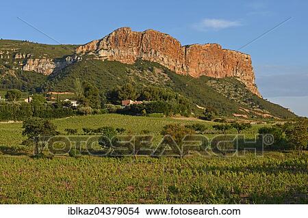 Vineyards with Soubeyranes cliffs, Cassis, Bouches-du-Rhône, Provence-Alpes-Côte d' Azur, France, Europe View Large Photo Image Picture - Vineyards with Soubeyranes cliffs, Cassis, Bouches-du-Rhône, Provence-Alpes-Côte d' Azur, France, Europe. Fotosearch
