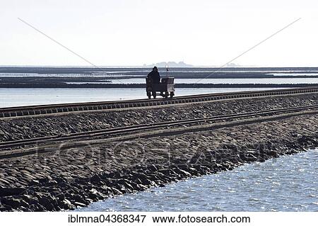 Stock Photo - Wagon rolling over dam in Wadden Sea, Hallig Oland, island, Schleswig-Holstein, Germany, Europe. Fotosearch