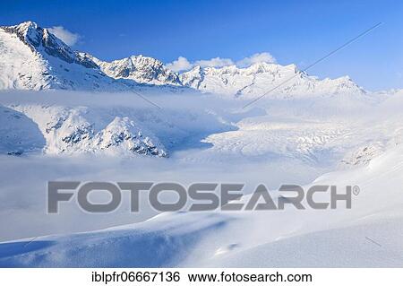 Wannenhörner and Aletsch glacier in winter, Valais, Switzerland, Europe View Large Photo Image Stock Photograph - Wannenhörner and Aletsch glacier in winter, Valais, Switzerland, Europe. Fotosearch