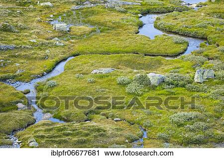 Watercourse at the Grimsel Pass, Bern, Switzerland, Europe View Large Photo Image Stock Image - Watercourse at the Grimsel Pass, Bern, Switzerland, Europe. Fotosearch