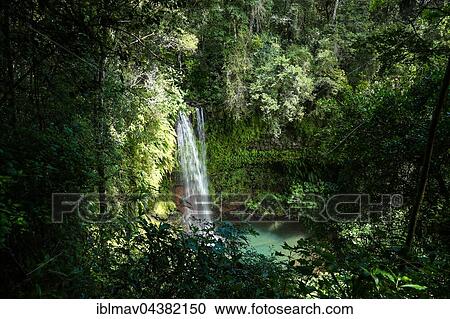 Waterfall in Amber Mountain National Park, Madagascar, Africa View Large Photo Image Stock Image - Waterfall in Amber Mountain National Park, Madagascar, Africa. Fotosearch