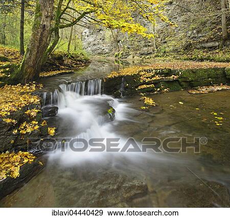Waterfall in Schlichemklamm, autumn leaves on lime sintered terraces along the Schlichem River, Schlichemtal, Epfendorf, Baden-Württemberg, Germany, Europe View Large Photo Image Stock Photo - Waterfall in Schlichemklamm, autumn leaves on lime sintered terraces along the Schlichem River, Schlichemtal, Epfendorf, Baden-Württemberg, Germany, Europe. Fotosearch