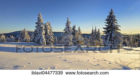 Winter landscape at Fichtelberg, spruces covered in snow, Ore Mountains, Saxony, Germany, Europe View Large Photo Image Stock Photo - Winter landscape at Fichtelberg, spruces covered in snow, Ore Mountains, Saxony, Germany, Europe. Fotosearch