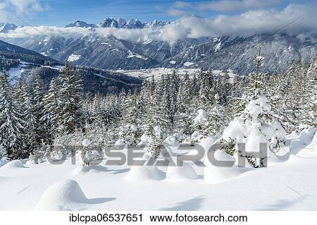 Stock Image - Winter landscape, forest, behind Stubai Valley and Kalkkögel, owl meadows, Gleinser Berg, Mieders, Innsbruck-Land, Tyrol, Austria, Europe. Fotosearch