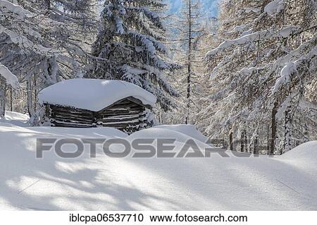 Stock Image - Winter landscape, forest, hut for hay, owl meadows, Gleinser Berg, Mieders, Innsbruck-Land, Tyrol, Austria, Europe. Fotosearch