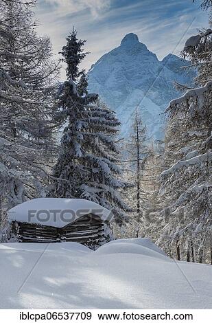 Winter landscape, forest, hut for hay, behind Serles, owl meadows, Gleinser Berg, Mieders, Innsbruck-Land, Tyrol, Austria, Europe View Large Photo Image Stock Photo - Winter landscape, forest, hut for hay, behind Serles, owl meadows, Gleinser Berg, Mieders, Innsbruck-Land, Tyrol, Austria, Europe. Fotosearch
