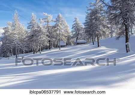 Winter landscape, forest, huts, owl meadows, Gleinser Berg, Mieders, Innsbruck-Land, Tyrol, Austria, Europe View Large Photo Image Stock Image - Winter landscape, forest, huts, owl meadows, Gleinser Berg, Mieders, Innsbruck-Land, Tyrol, Austria, Europe. Fotosearch
