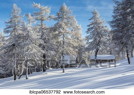 Stock Image - Winter landscape, forest, huts, owl meadows, Gleinser Berg, Mieders, Innsbruck-Land, Tyrol, Austria, Europe. Fotosearch