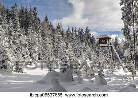 Winter landscape, forest, Jägerhochstand, owl meadows, Gleinser Berg, Mieders, Innsbruck-Land, Tyrol, Austria, Europe View Large Photo Image Stock Photography - Winter landscape, forest, Jägerhochstand, owl meadows, Gleinser Berg, Mieders, Innsbruck-Land, Tyrol, Austria, Europe. Fotosearch