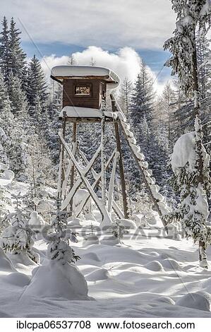 Stock Photo - Winter landscape, Jägerhochstand, owl meadows, Gleinser Berg, Mieders, Innsbruck-Land, Tyrol, Austria, Europe. Fotosearch