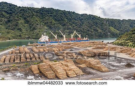 Stock Image - Wood stored in port, Picton, Southland, New Zealand, Oceania. Fotosearch