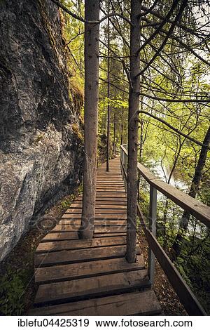 Wooden path, boardwalk, Oleni Ruchi Natural Park, Sverdlovsk region, Russia, Europe View Large Photo Image Stock Photo - Wooden path, boardwalk, Oleni Ruchi Natural Park, Sverdlovsk region, Russia, Europe. Fotosearch