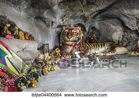Worship of a tiger sculpture in the Tiger Cave, Tiger Cave Temple, Wat Tham Suea, Krabi Province, Thailand, Asia View Large Photo Image Picture - Worship of a tiger sculpture in the Tiger Cave, Tiger Cave Temple, Wat Tham Suea, Krabi Province, Thailand, Asia. Fotosearch
