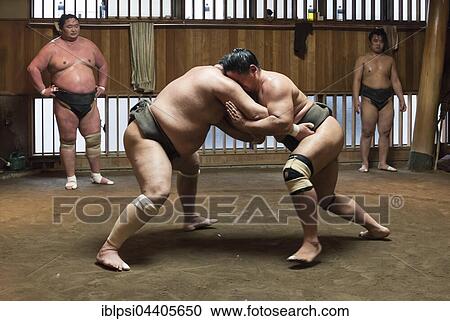Stock Image - Wrestlers Sumo Training Session, Asageiko, at Azumazeki Beya, Stable, Tokyo, Japan, Asia. Fotosearch
