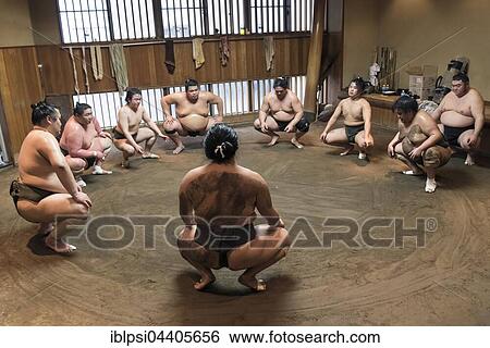 Wrestlers Sumo Training Session, Asageiko, at Azumazeki Beya, Stable, Tokyo, Japan, Asia View Large Photo Image Stock Photograph - Wrestlers Sumo Training Session, Asageiko, at Azumazeki Beya, Stable, Tokyo, Japan, Asia. Fotosearch