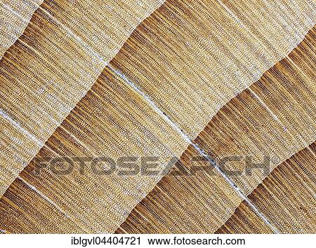 Stock Image - Yew, yew wood, polished, cross section of the trunk, photomicrograph, five times larger. Fotosearch