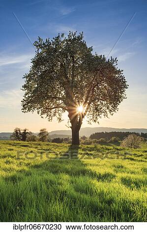 Zurich Oberland with Pfannenstiel, Switzerland, Europe View Large Photo Image Stock Image - Zurich Oberland with Pfannenstiel, Switzerland, Europe. Fotosearch