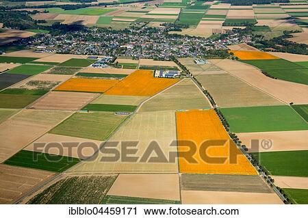 Agricultural land, pumpkin fields, Löwenich near Erkelenz, Niederrhein, Rhineland, North Rhine-Westphalia, Germany, Europe View Large Photo Image Stock Image - Agricultural land, pumpkin fields, Löwenich near Erkelenz, Niederrhein, Rhineland, North Rhine-Westphalia, Germany, Europe. Fotosearch
