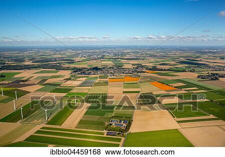 Agricultural land, pumpkin fields, Löwenich near Erkelenz, Niederrhein, Rhineland, North Rhine-Westphalia, Germany, Europe View Large Photo Image Stock Photo - Agricultural land, pumpkin fields, Löwenich near Erkelenz, Niederrhein, Rhineland, North Rhine-Westphalia, Germany, Europe. Fotosearch