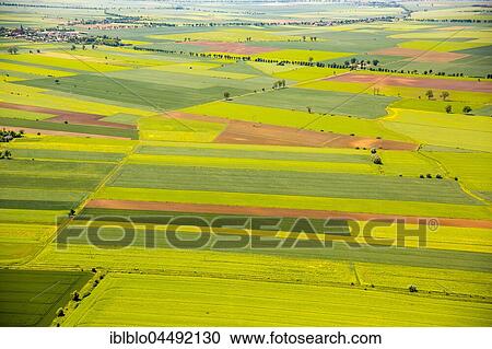 Agriculture, fields near Danzig, West Pomerania Province, Poland, Europe View Large Photo Image Stock Image - Agriculture, fields near Danzig, West Pomerania Province, Poland, Europe. Fotosearch