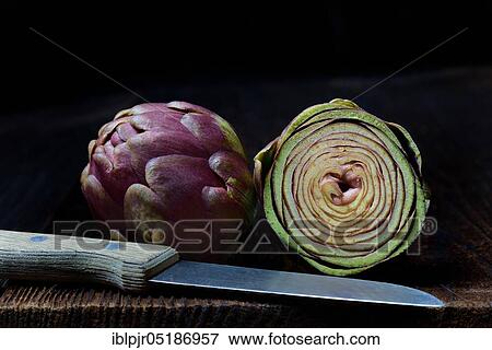 Stock Photo - Artichoke ( Cynara scolymus), Cross section with knife. Fotosearch