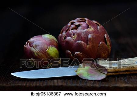 Artichokes ( Cynara scolymus) with kitchen knife View Large Photo Image Stock Photo - Artichokes ( Cynara scolymus) with kitchen knife. Fotosearch