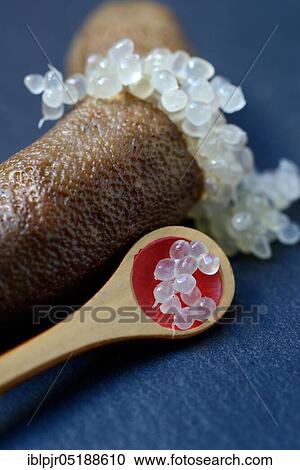 Stock Image - Australian finger lime, finger lime, Microcitrus australasica, lime caviar, lime caviar. Fotosearch