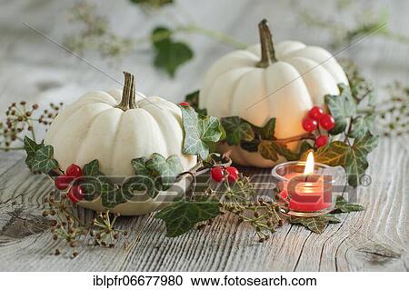 Autumnal decoration View Large Photo Image Stock Image - Autumnal decoration. Fotosearch
