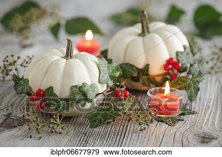 Stock Photo - Autumnal decoration. Fotosearch