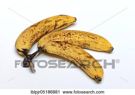 Stock Image - Bananas ( Musa) with brown stains, overripe. Fotosearch