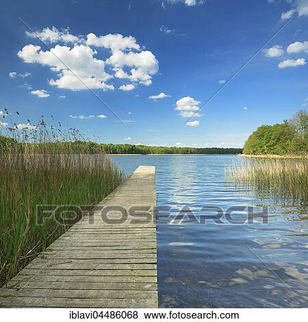 Stock Photo - Bathing spot with Boardwalk, Clear Lake with reeds and forest, Big Krinertsee, biosphere reserve Schorfheide-Chorin, Brandenburg, Germany, Europe. Fotosearch