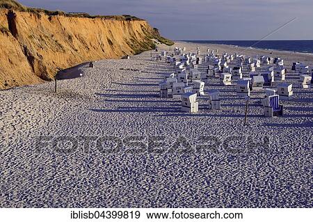 Stock Photo - Beach and beach chairs at red cliff, evening light, Kampen, Sylt, North Frisian Islands, North Frisia, Schleswig-Holstein, Germany, Europe. Fotosearch
