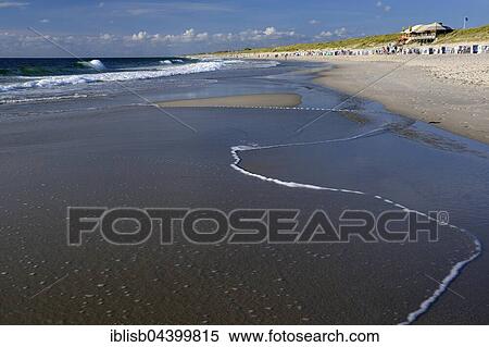 Beach in the evening, Kampen, Sylt, North Frisian Islands, North Frisia, Schleswig-Holstein, Germany, Europe View Large Photo Image Stock Photography - Beach in the evening, Kampen, Sylt, North Frisian Islands, North Frisia, Schleswig-Holstein, Germany, Europe. Fotosearch