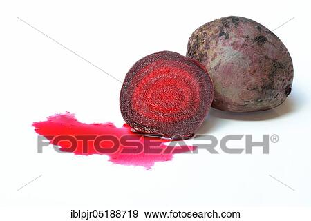 Stock Photo - Beetroot, Beta vulgaris vulgaris var. conditiva. Fotosearch