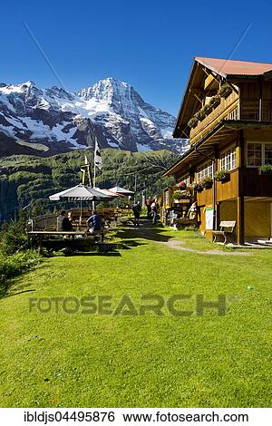 Berggasthof Tschingelhorn, at back the Tschingelhorn with snow, Lauterbrunnental, Swiss Alps Jungfrau-Aletsch, Bernese Oberland, Switzerland, Europe View Large Photo Image Stock Photograph - Berggasthof Tschingelhorn, at back the Tschingelhorn with snow, Lauterbrunnental, Swiss Alps Jungfrau-Aletsch, Bernese Oberland, Switzerland, Europe. Fotosearch