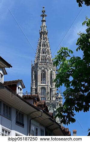 Stock Image - Bern Minster, Bern, Canton of Bern, Switzerland, Europe. Fotosearch