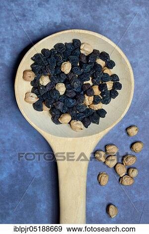 Black and light chick peas in wooden spoon, Puglia, Cicer arietinum, Ceci Neri, Cece Nero, Italy, Europe View Large Photo Image Stock Photo - Black and light chick peas in wooden spoon, Puglia, Cicer arietinum, Ceci Neri, Cece Nero, Italy, Europe. Fotosearch