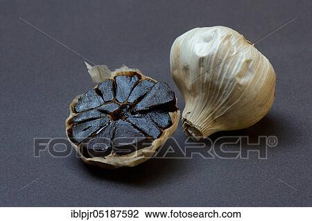 Black garlic, Allium sativum View Large Photo Image Stock Image - Black garlic, Allium sativum. Fotosearch