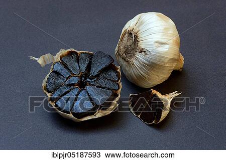 Stock Image - Black garlic, Allium sativum. Fotosearch