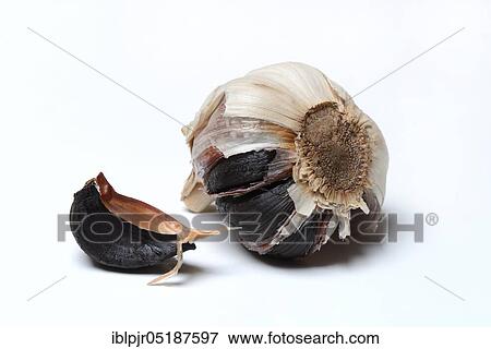 Stock Photo - Black garlic, Allium sativum. Fotosearch