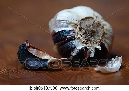 Stock Photo - Black garlic, Allium sativum. Fotosearch
