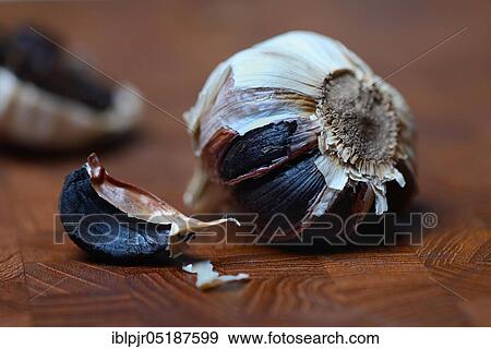 Black garlic, Allium sativum View Large Photo Image Stock Photo - Black garlic, Allium sativum. Fotosearch